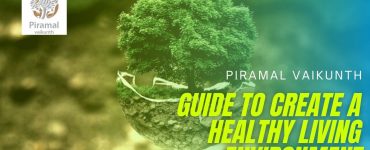 Guide to Create a Healthy Living Environment